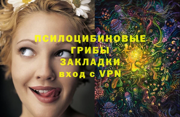 ГАЛЛЮЦИНОГЕННЫЕ ГРИБЫ Абдулино